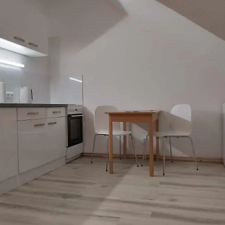 Apartment Apartman Wolker Karlovy Vary